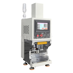 Servo Press